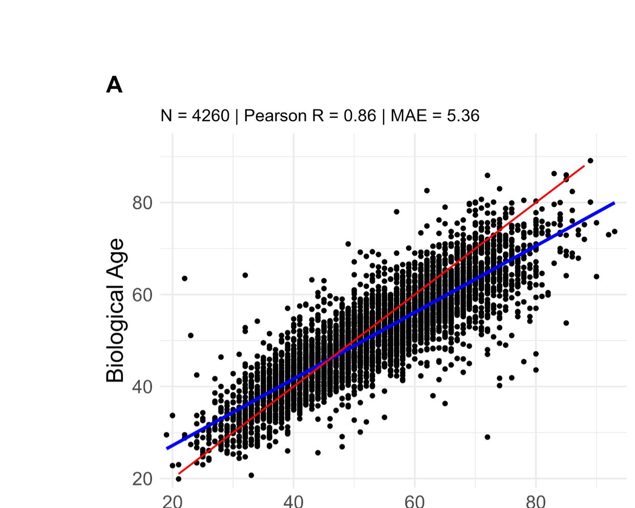 Scatter plot of biological age against chronological age for 4,260 people, with wide spread around the line; MAE 5.36 years